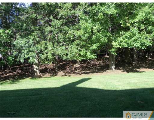 804 Maplecrest Road Edison, NJ 08820 - Photo 10 of 12 a view of an outdoor space and a yard