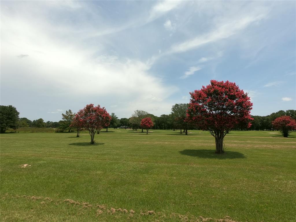 Lot Pt31-32 Emory Tx 75440 Emory, TX 75440 - Photo 9 of 15
