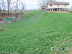 598 Wallace Road Little Hocking, OH 45742 - Photo 22 of 24 Fenced dog run with kennel