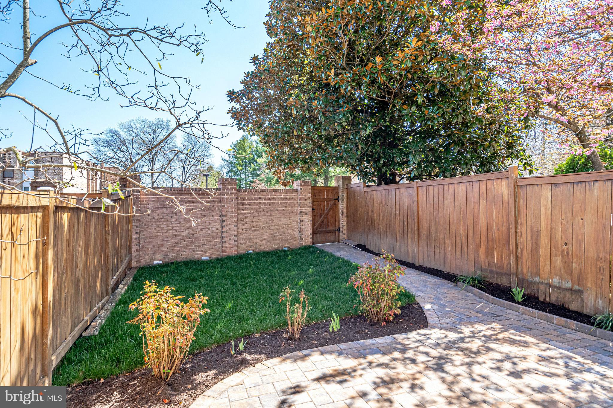 408 West Glebe Road Alexandria, VA 22305 - Photo 54 of 62 Fresh sod