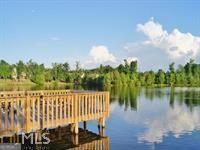 80 Middleton Trace Newnan, GA 30265 - Photo 26 of 30 a view of a lake with a garden