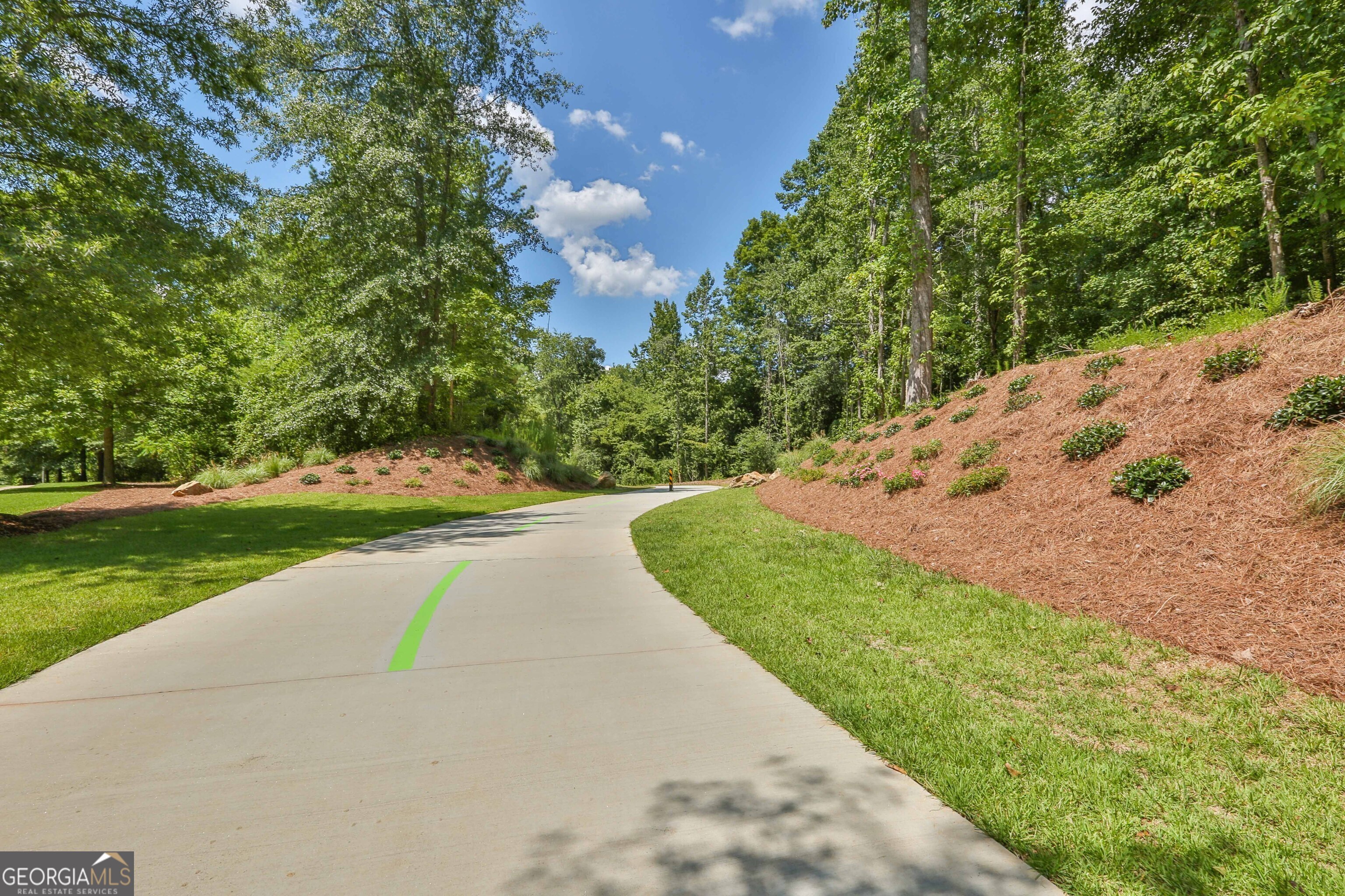 80 Middleton Trace Newnan, GA 30265 - Photo 30 of 30 a view of a park with large trees