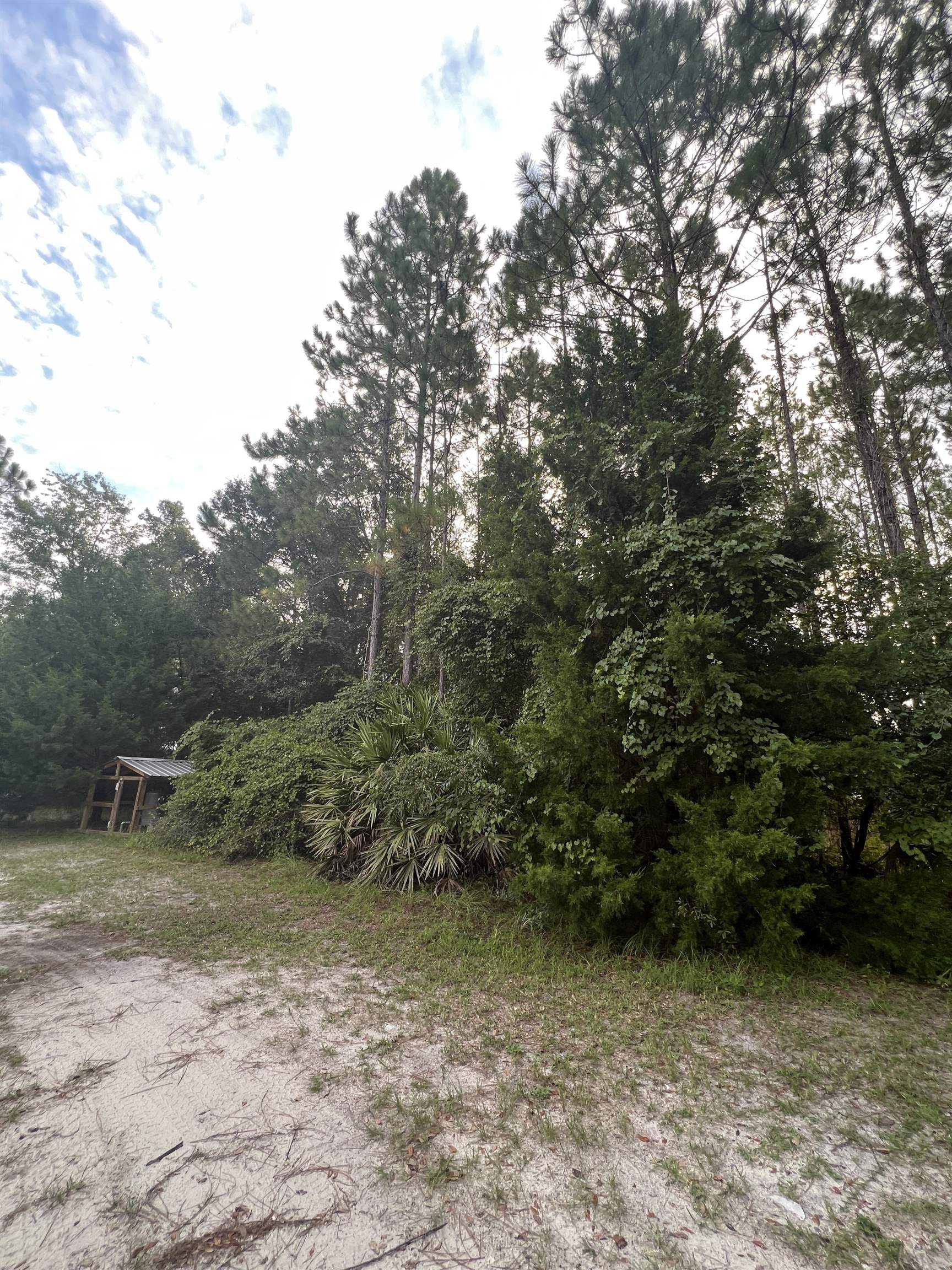 6740 Shelby Road Perry, FL 32348 - Photo 11 of 15 Gallery Image 11