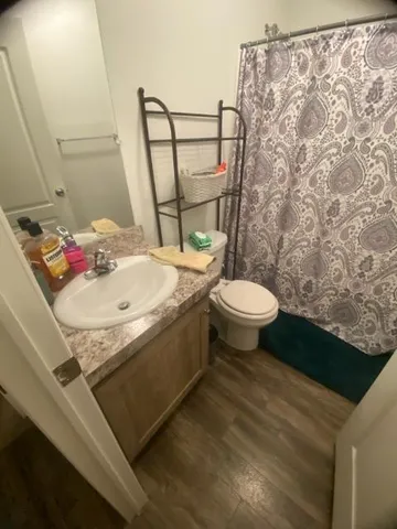 a bathroom with a sink and a toilet