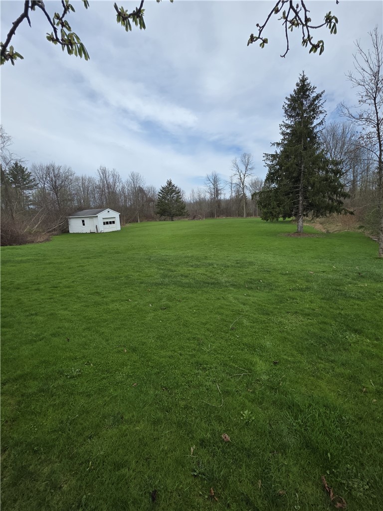 2247 Ridge Road Ontario, NY 14519 - Photo 12 of 36 5 acres with plenty of open space backing to the w