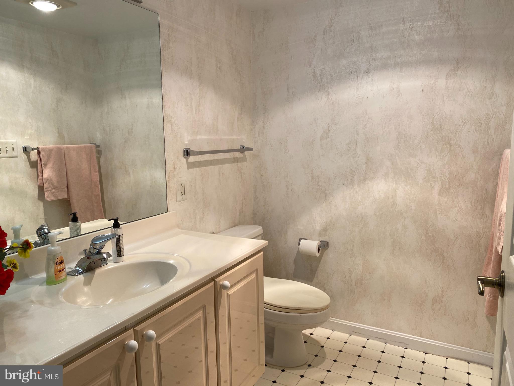 19385 Cypress Ridge Terrace, Unit 802 Leesburg, VA 20176 - Photo 14 of 15 Junior Master Bath - Opposite end by kitchen