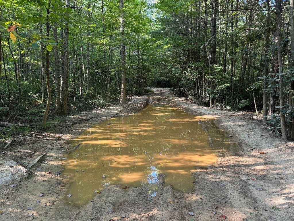 Tbd Pulaski Road Northwest Willis, VA 24380 - Photo 10 of 20 Gallery Image 10