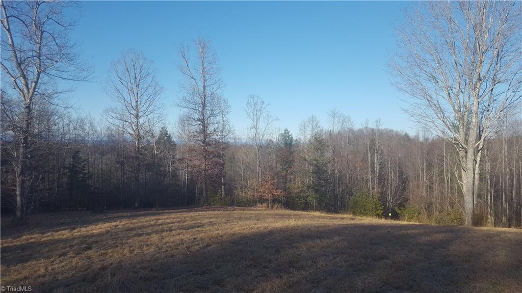 1286 Boone Gap Road Boomer, NC 28606 - Photo 12 of 13 Gallery Image 12