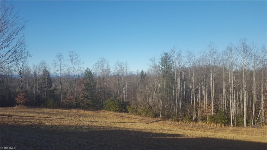 1286 Boone Gap Road Boomer, NC 28606 - Photo 13 of 13 Gallery Image 13