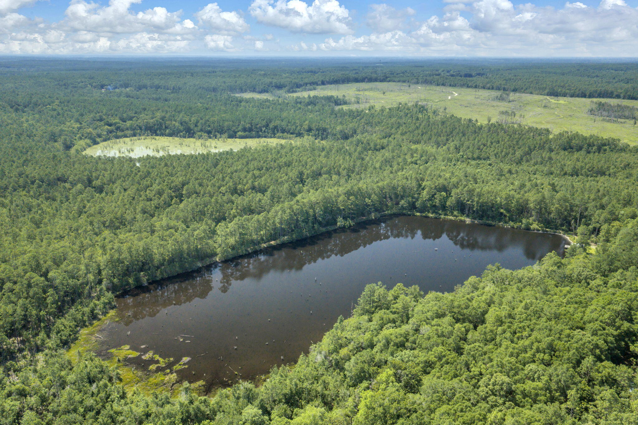 82 Acres 4 Flags Road Laurel Hill, FL 32567 - Photo 18 of 45 13-web-or-mls-DJI_20260702102300_0525_D