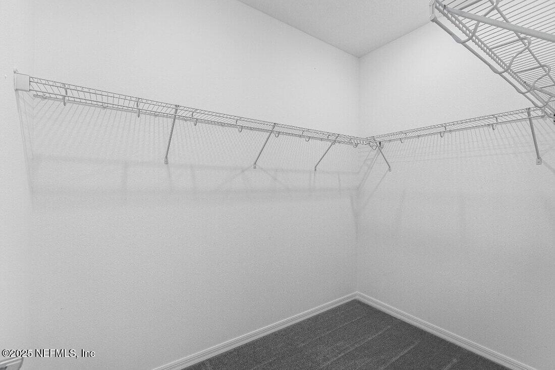 8525 Lilias Circle Jacksonville, FL 32219 - Photo 19 of 32 hj-fl-jacksonville-coopers-meadow-ficus-