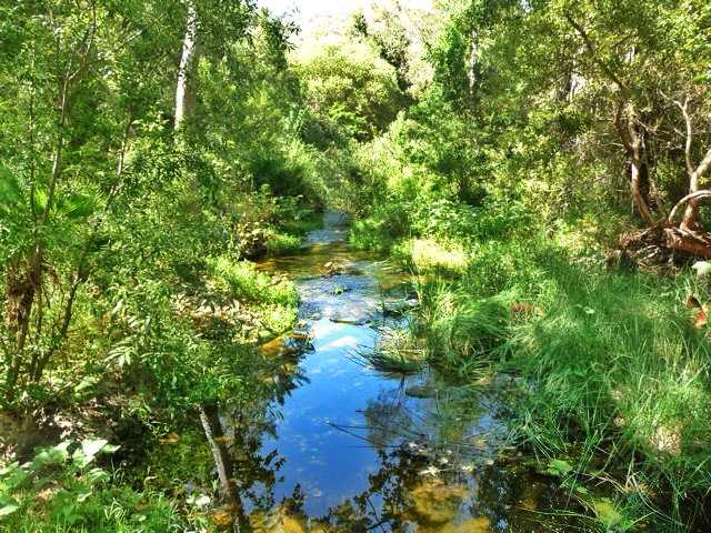 9121 Harmony Grove Road Escondido, CA 92029 - Photo 11 of 25 Escondido Creek runs year round across the property