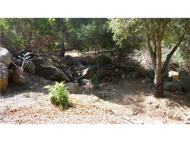 9121 Harmony Grove Road Escondido, CA 92029 - Photo 12 of 25 Natural stream bed; much of the natural landscape is undisturbed