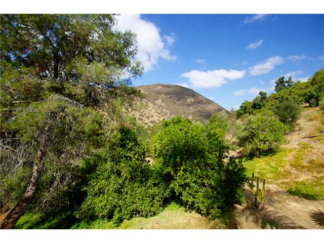 9121 Harmony Grove Road Escondido, CA 92029 - Photo 24 of 25 Avocado grove to the right, up the eastern slope