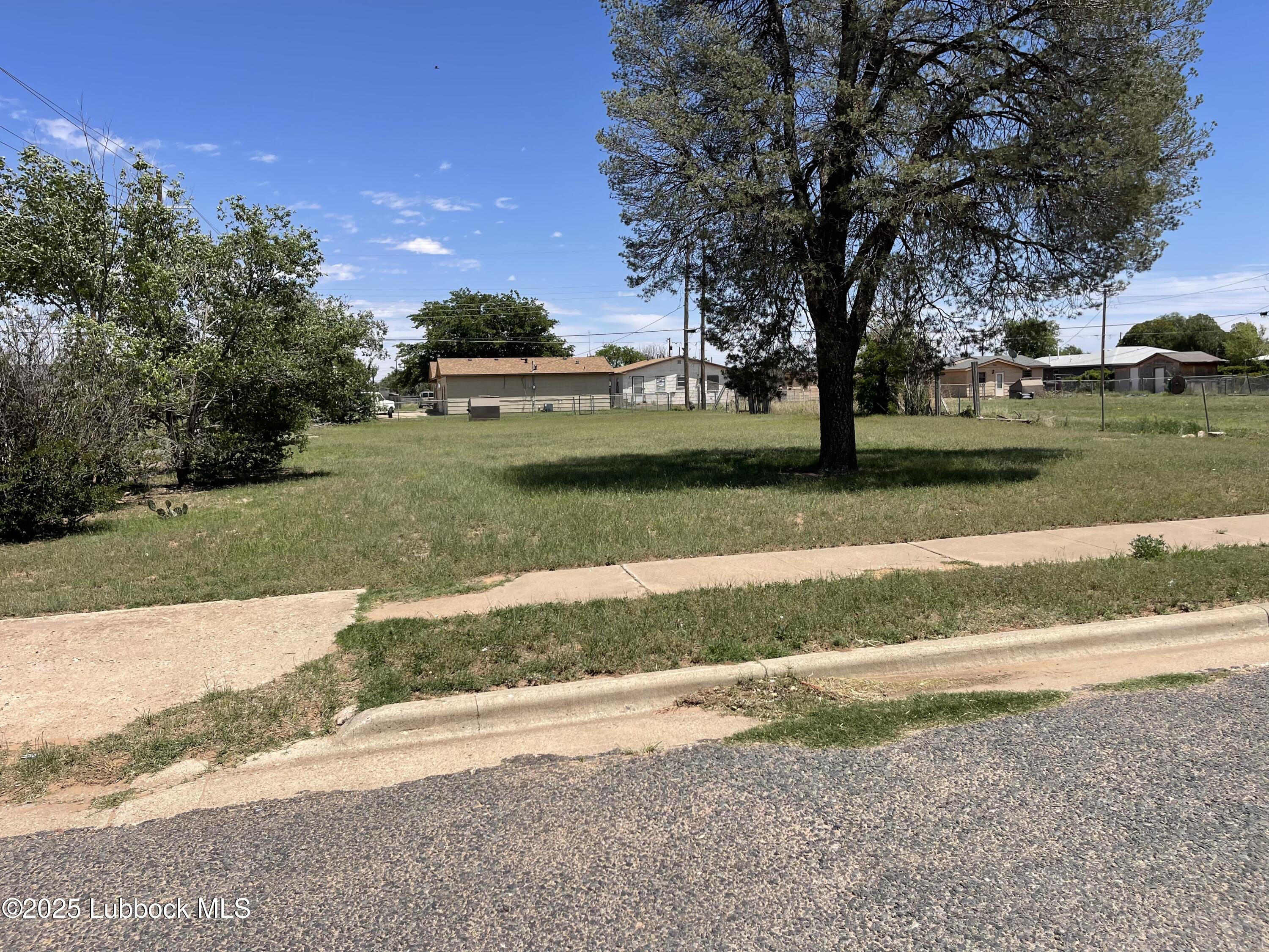 2101 Date Avenue Lubbock, TX 79404 - Photo 2 of 5 a view of street with large trees
