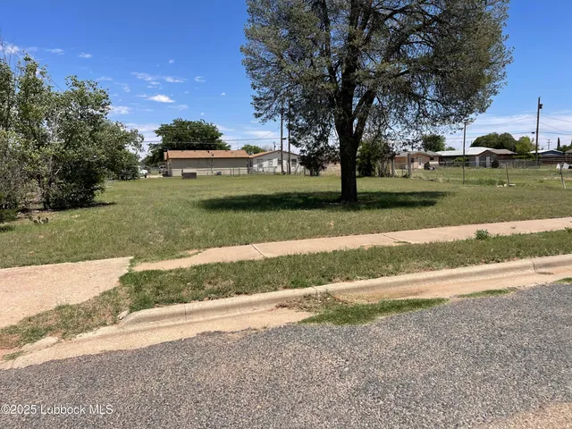 a view of a park that has a large tree