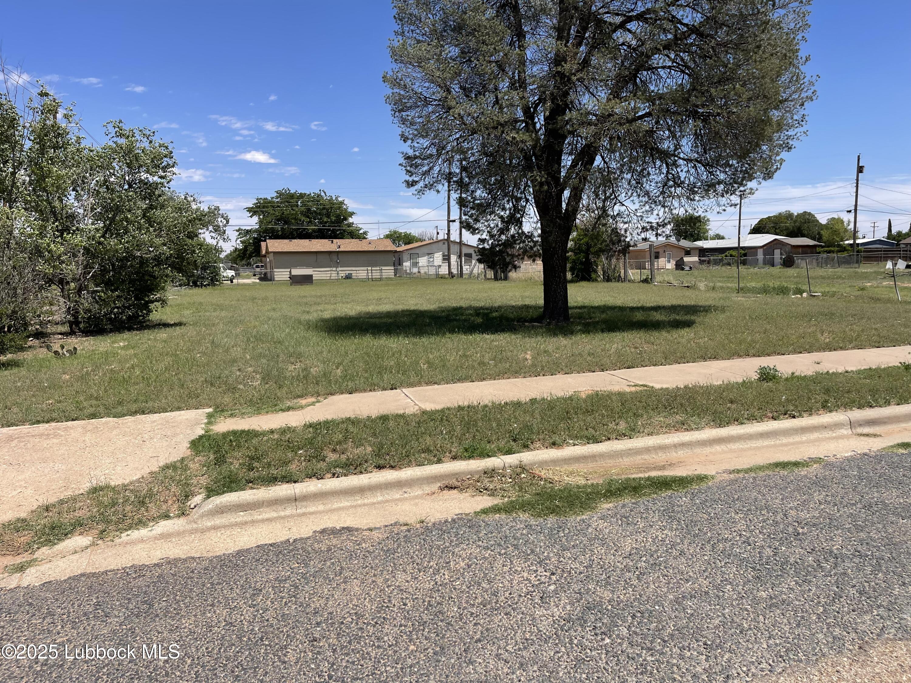 2101 Date Avenue Lubbock, TX 79404 - Photo 3 of 5 a view of a yard with large trees