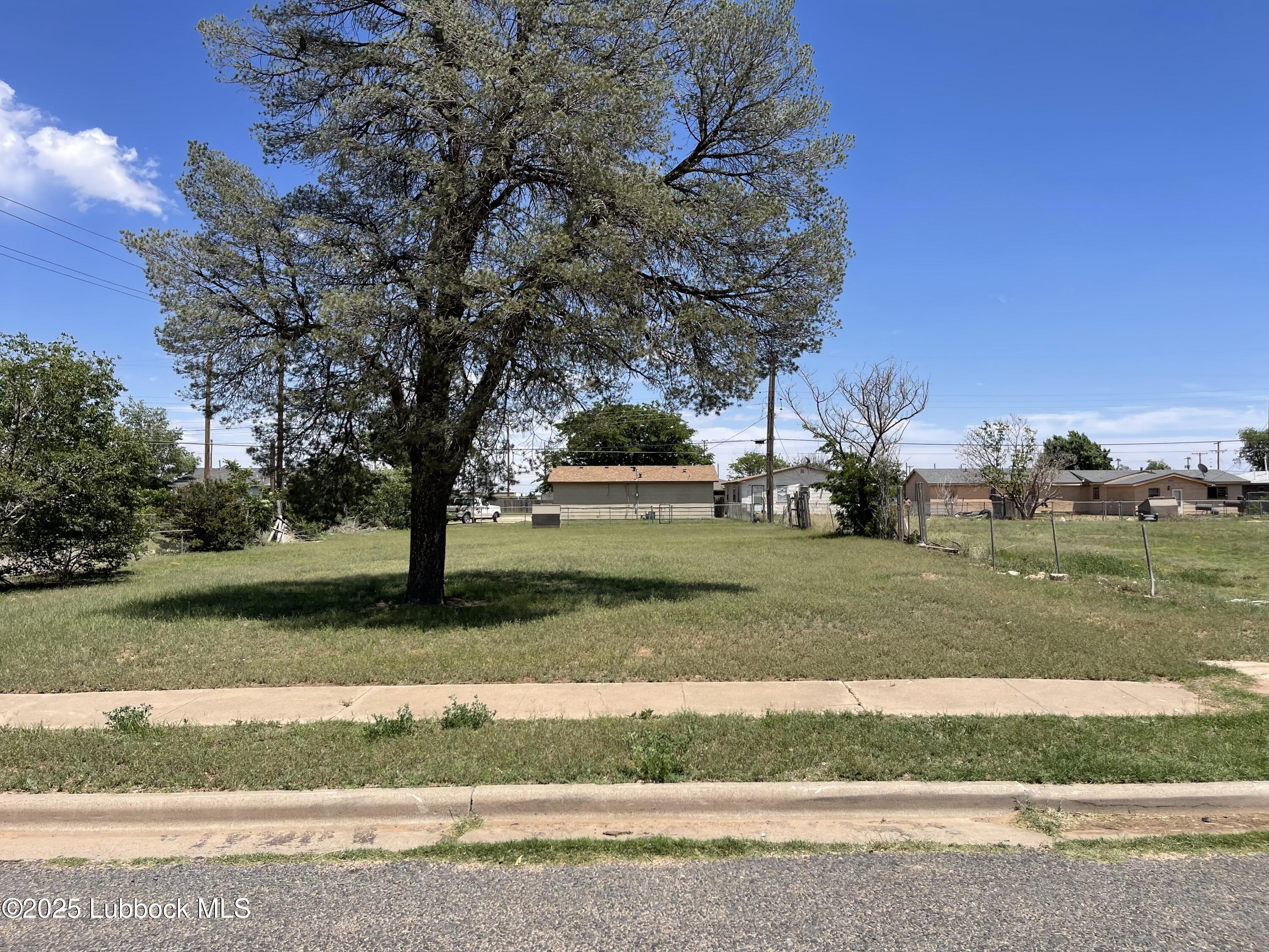 2101 Date Avenue Lubbock, TX 79404 - Photo 4 of 5 a view of a park that has a large tree