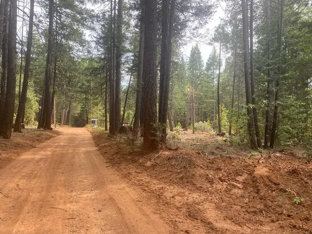 a view of outdoor space and yard