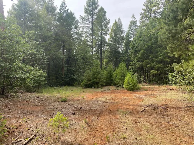a view of dirt road with trees in the background