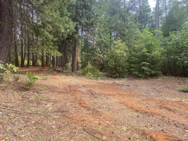 a view of outdoor space with trees
