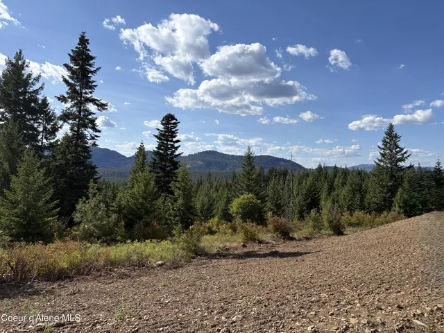 $1,599,393 | L5 West Gemini Lane, Rathdrum, ID 83858