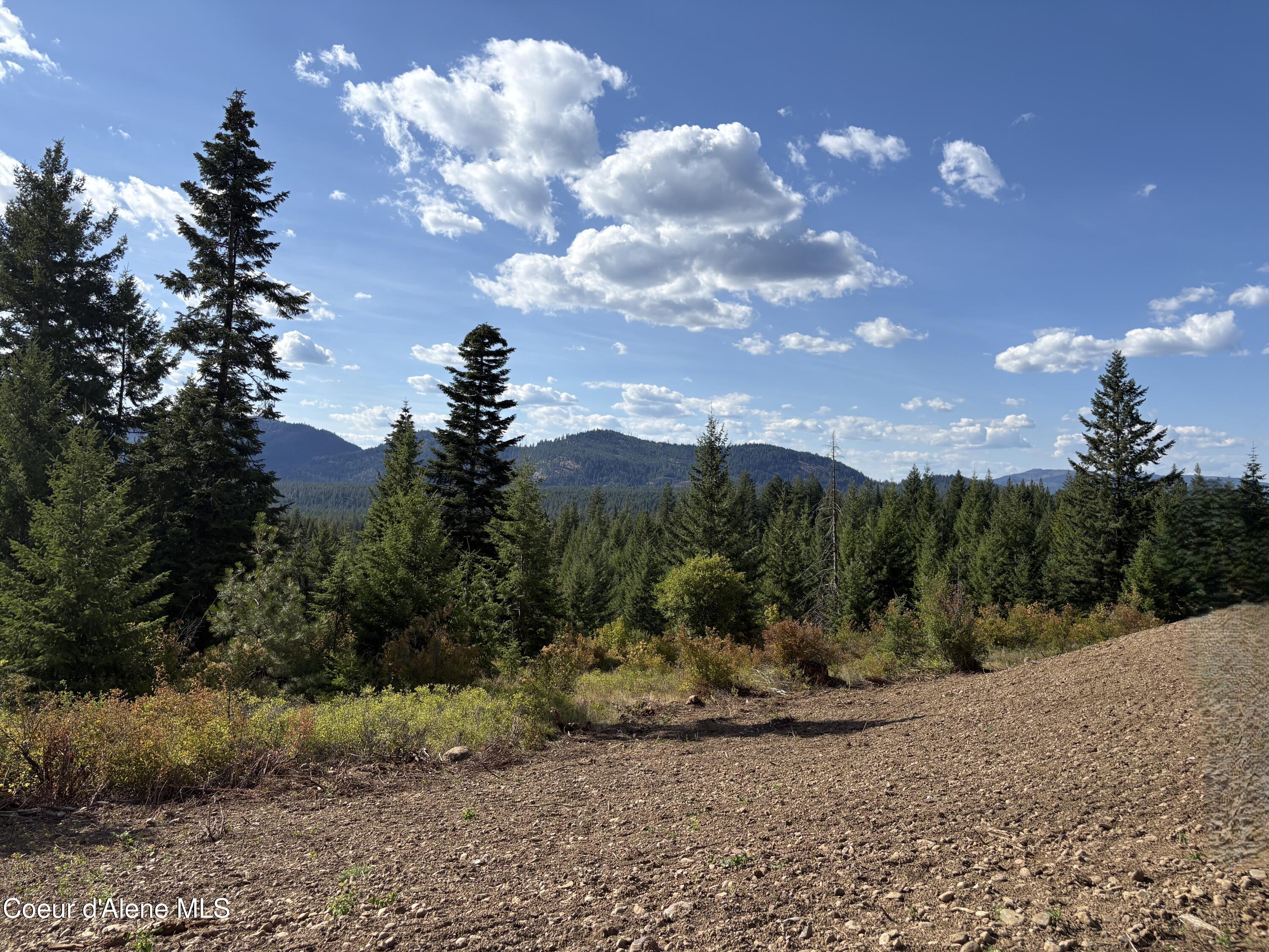 L5 West Gemini Lane Rathdrum, ID 83858 - Photo 13 of 58 View