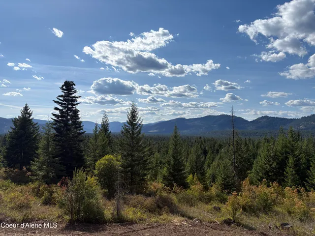 $1,599,393 | L5 West Gemini Lane, Rathdrum, ID 83858