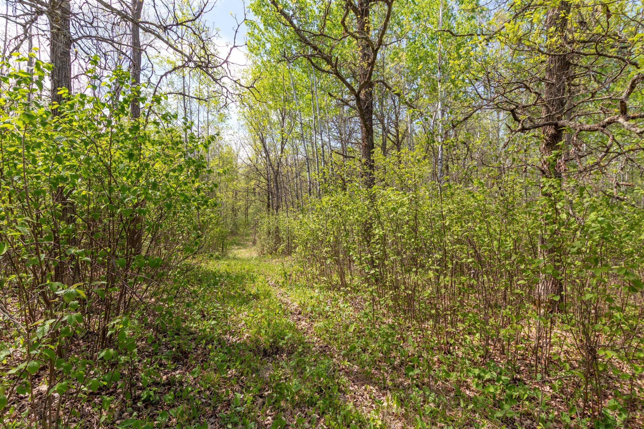 Tbd Tbd Stephani Road Northwest Puposky, MN 56667 - Photo 1 of 24