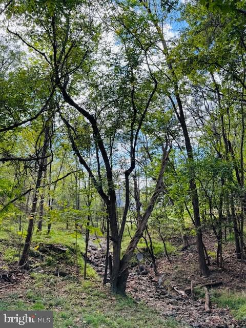 115 Old Furnace Road Harpers Ferry, WV 25425 - Photo 28 of 29