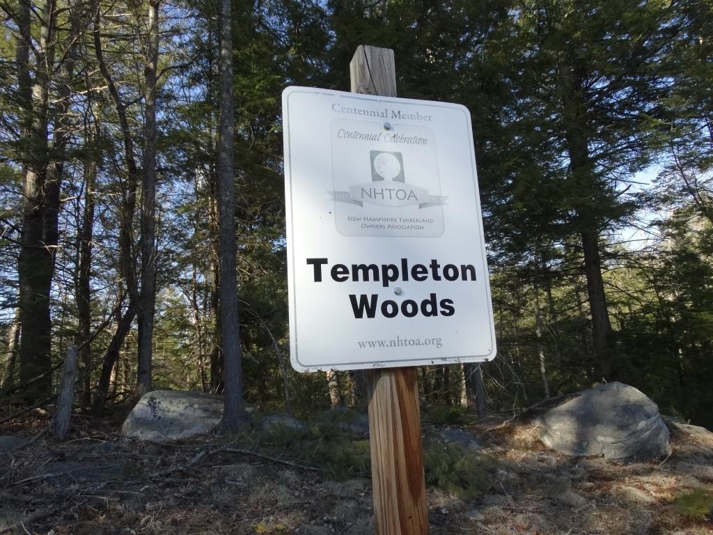 Templeton Turnpike Fitzwilliam, NH 03447 - Photo 8 of 10