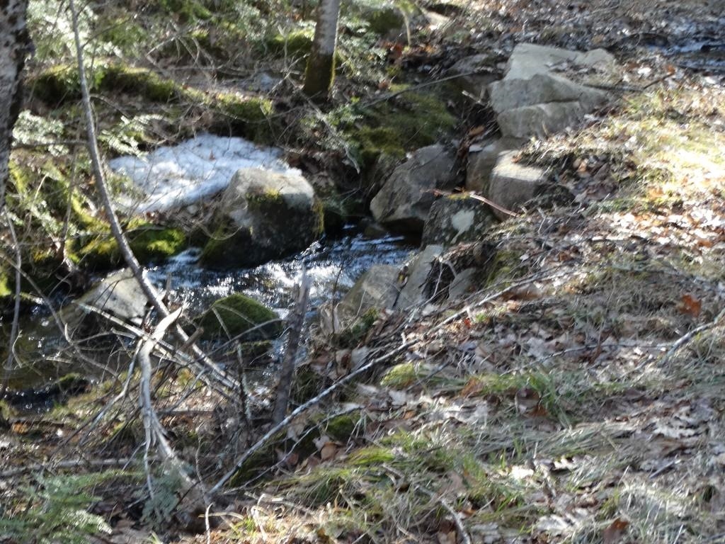 Templeton Turnpike Fitzwilliam, NH 03447 - Photo 10 of 10