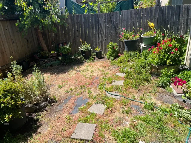 a garden with wooden fence