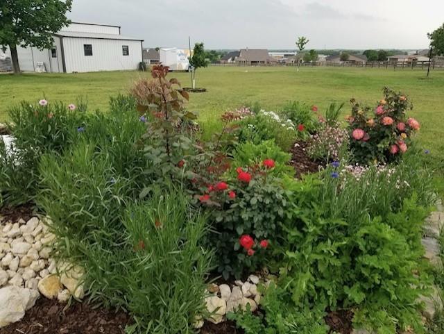 108 High Meadows Court Decatur, TX 76234 - Photo 29 of 29 a view of a yard with an outdoor space