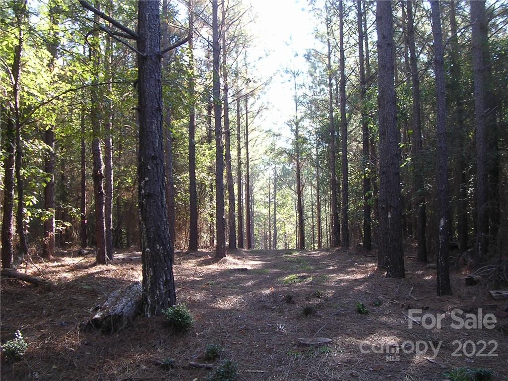 3080 Ashford Road Chester, SC 29706 - Photo 1 of 1 Gallery Image 1