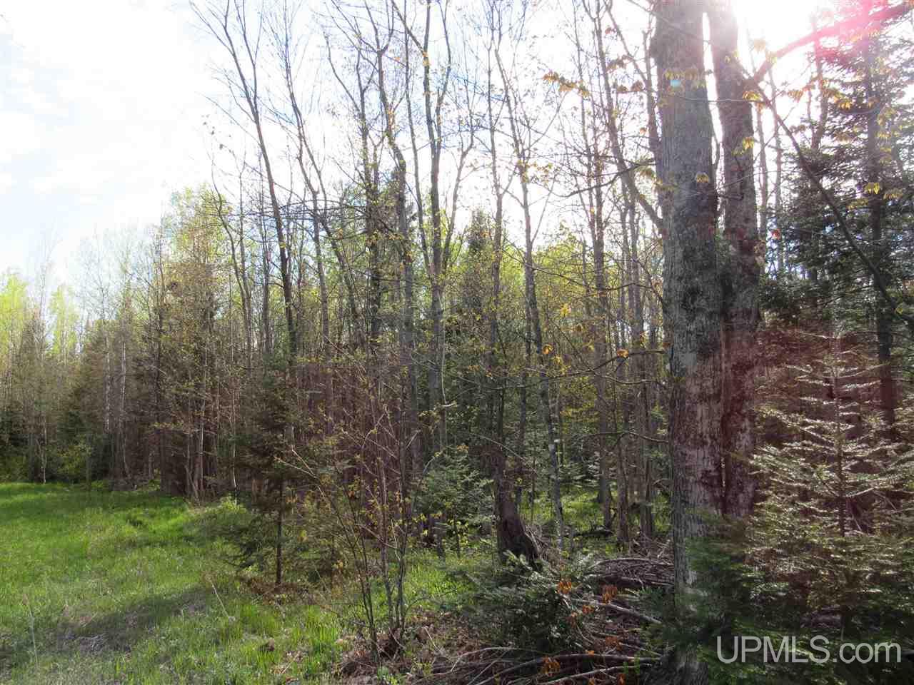22431 Peterson Road Nisula, MI 49952 - Photo 11 of 24 Gallery Image 11