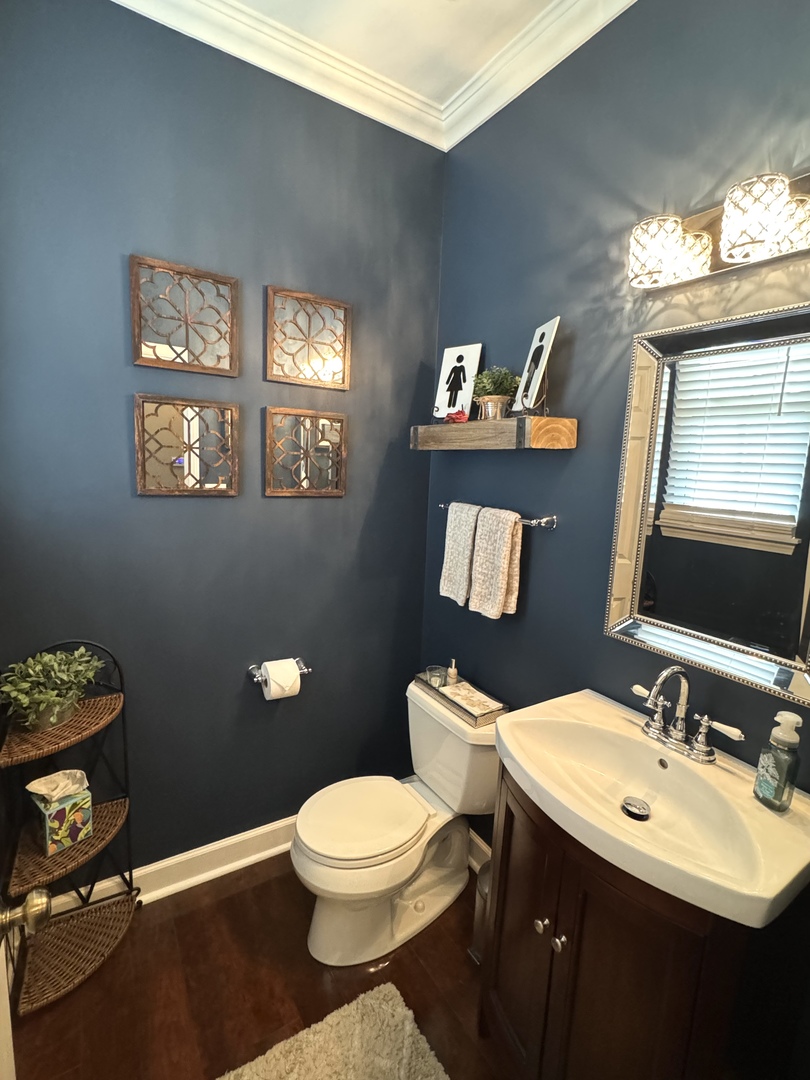 2827 White Thorn Circle Naperville, IL 60564 - Photo 5 of 26 a bathroom with a toilet a sink and mirror