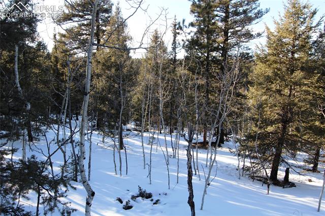 5523 N Road Divide, CO 80814 - Photo 11 of 16 View.