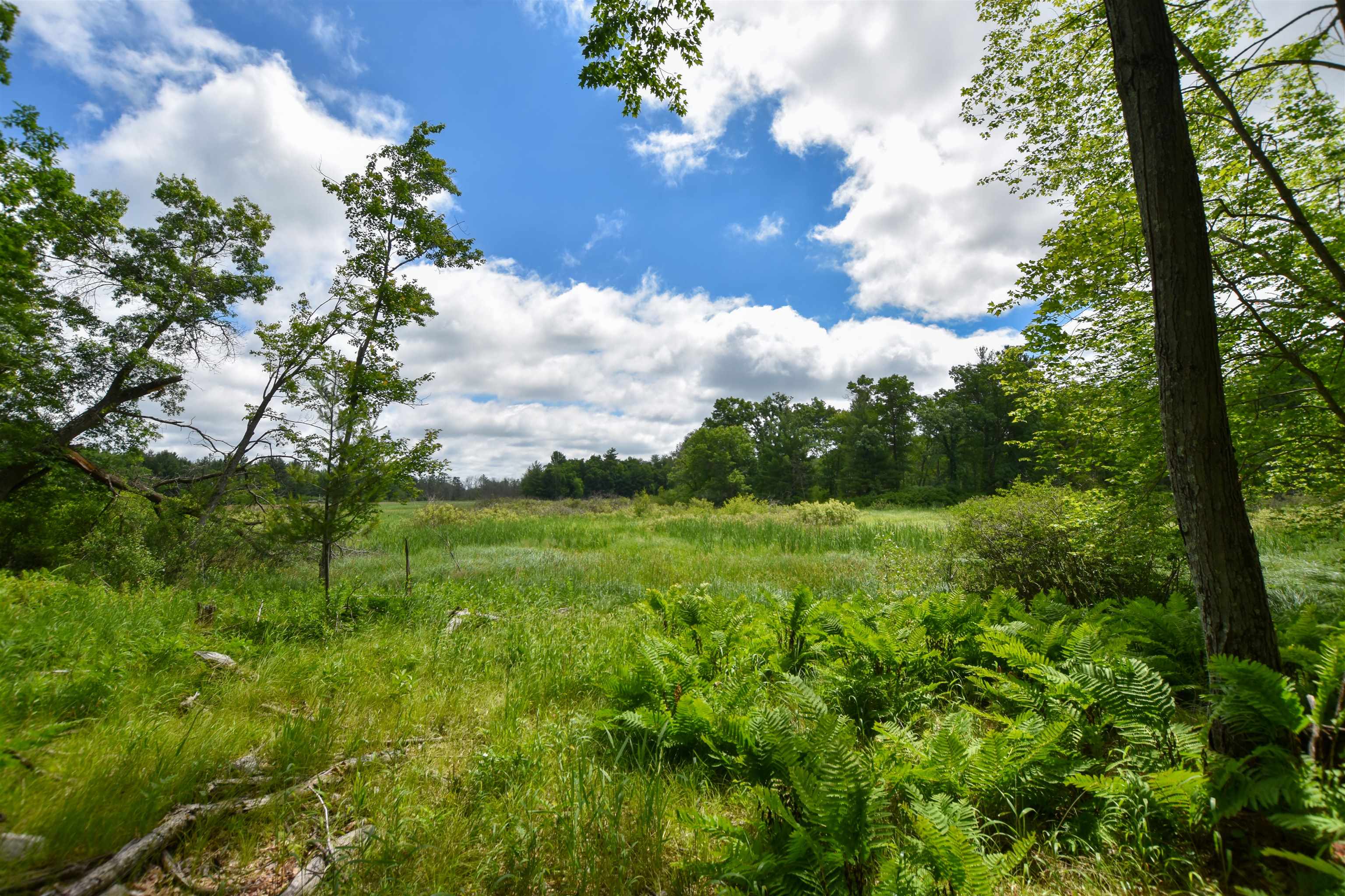 County Road Weyauwega, WI 54983 - Photo 23 of 72