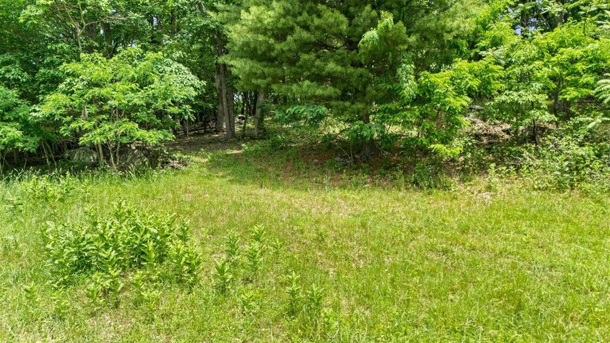 Lot 19-20 Hidden Hill Road Stanley, VA 22851 - Photo 17 of 20