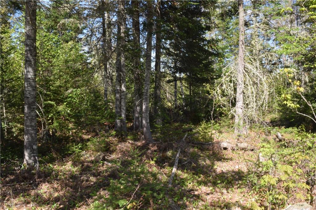 Lot 4 Tracy Road Amity, ME 04471 - Photo 28 of 35 Land
