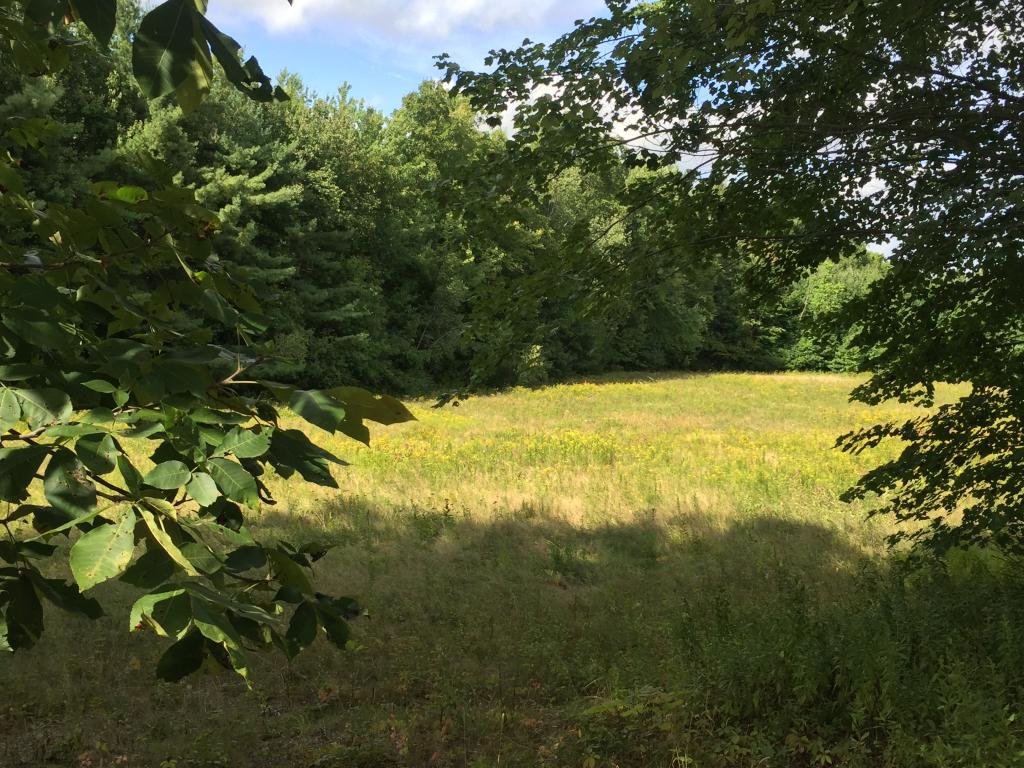 231 Sandown Road Chester, NH 03036 - Photo 3 of 8