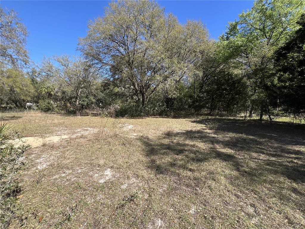 a view of outdoor space with trees