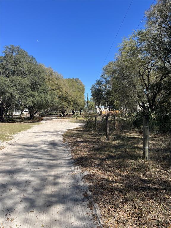107 Dixie Street Hawthorne, FL 32640 - Photo 14 of 14 a view of a yard with trees