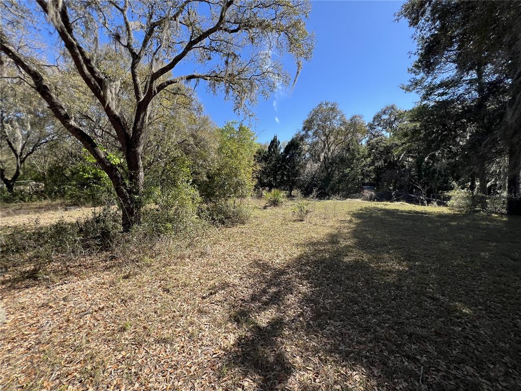 107 Dixie Street Hawthorne, FL 32640 - Photo 3 of 14 a view of a yard with a tree