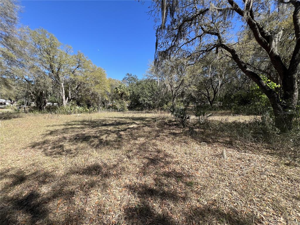107 Dixie Street Hawthorne, FL 32640 - Photo 4 of 14 a view of dirt yard with a large tree