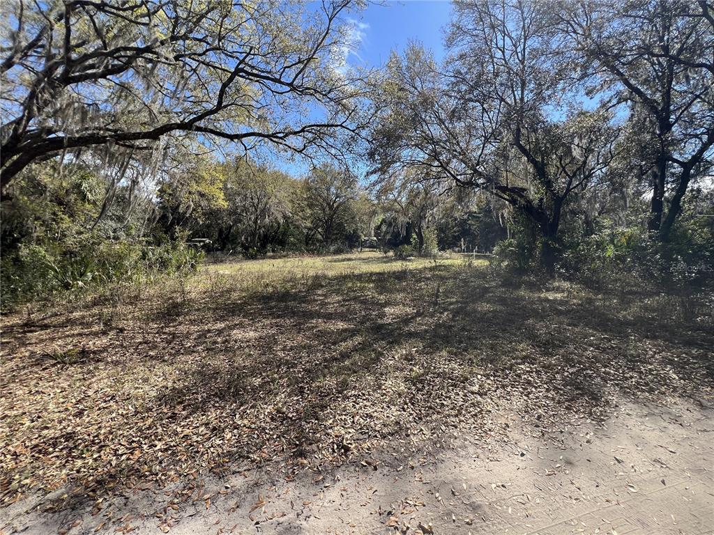 107 Dixie Street Hawthorne, FL 32640 - Photo 5 of 14 a view of a yard with a tree