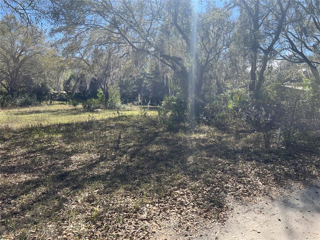 107 Dixie Street Hawthorne, FL 32640 - Photo 6 of 14 a view of a backyard with large trees