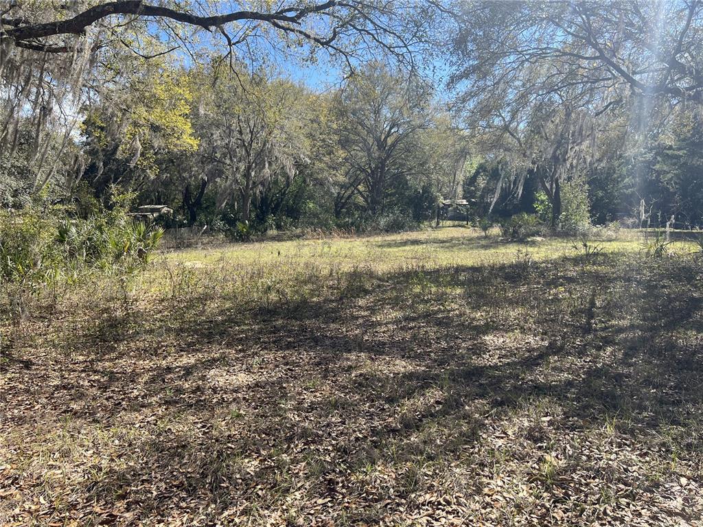 107 Dixie Street Hawthorne, FL 32640 - Photo 7 of 14 a view of yard with large trees