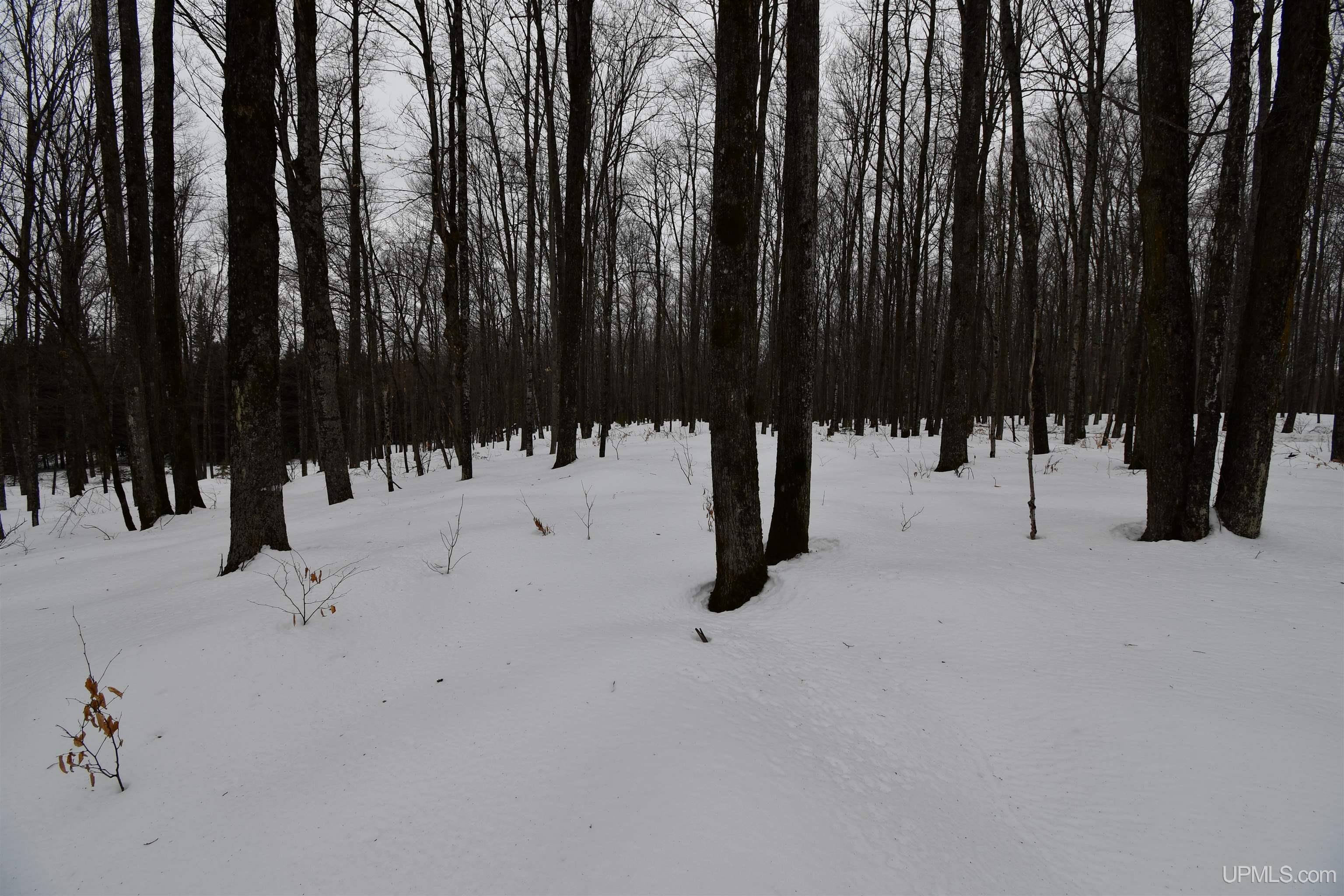 Tbd County Line Road Foster City, MI 49834 - Photo 13 of 56